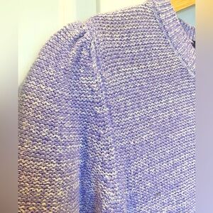 Ann Taylor Purple Crew Neck Sweater